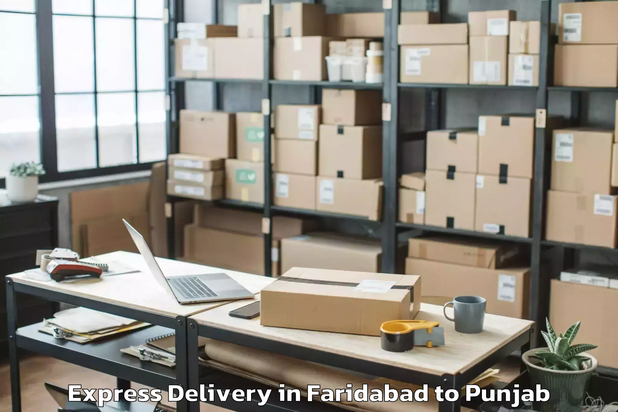 Quality Faridabad to Banga Express Delivery